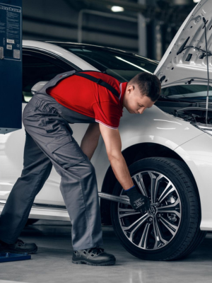 Blockchain Technology Programme